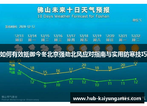 如何有效抵御今冬北京强劲北风应对指南与实用防寒技巧