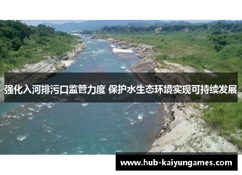 强化入河排污口监管力度 保护水生态环境实现可持续发展