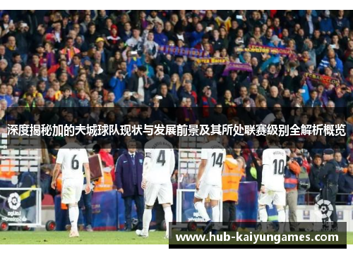 深度揭秘加的夫城球队现状与发展前景及其所处联赛级别全解析概览